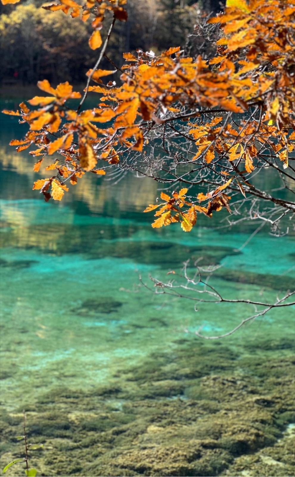 九寨沟秋天湖景