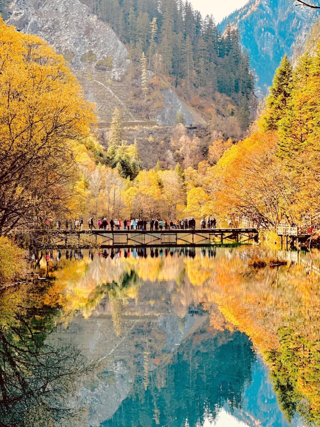 九寨沟金秋彩林栈道
