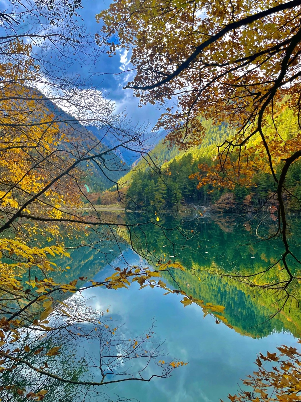 九寨沟金秋彩林湖景