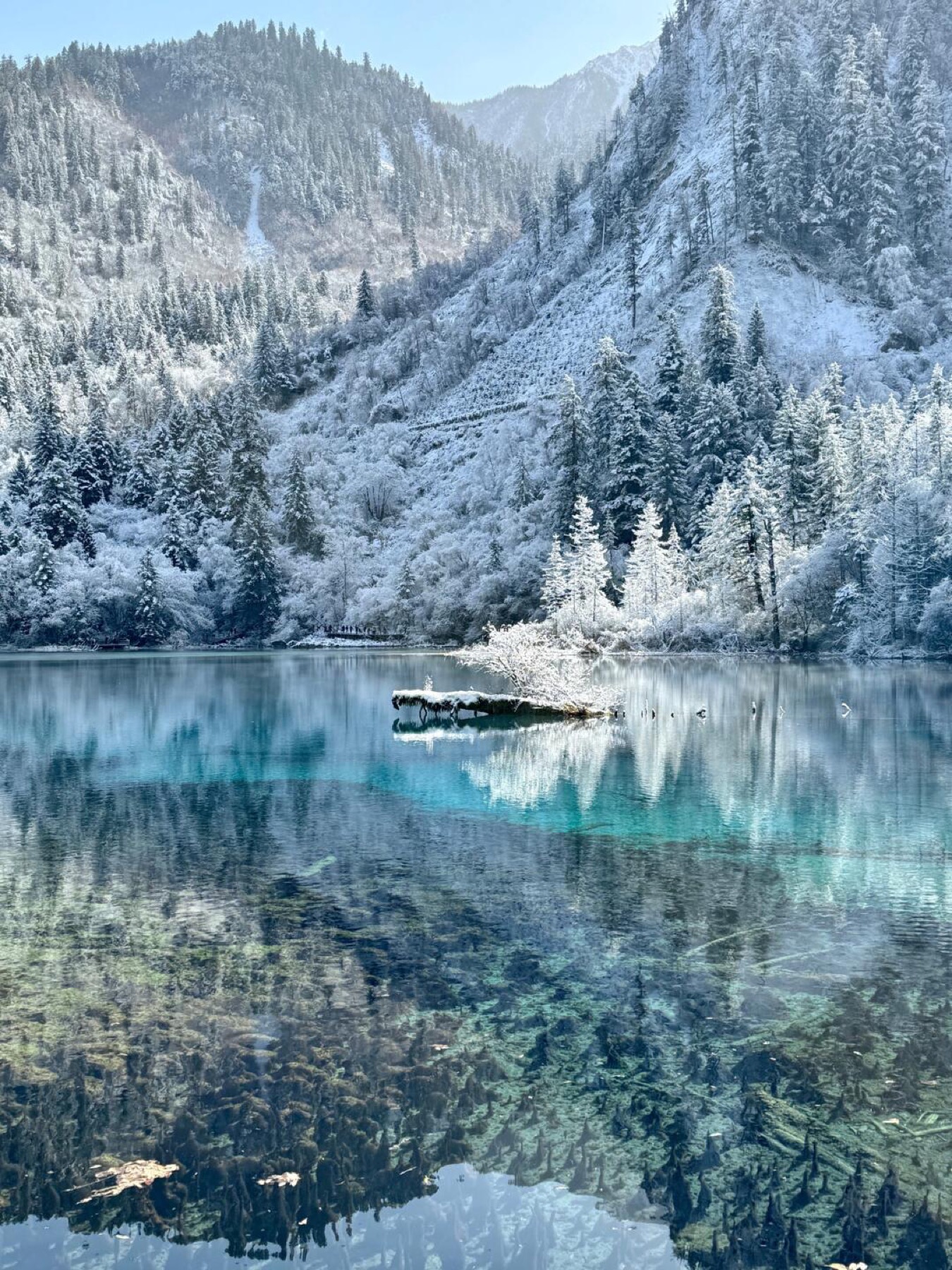 雪景九寨与西岭雪山路线
